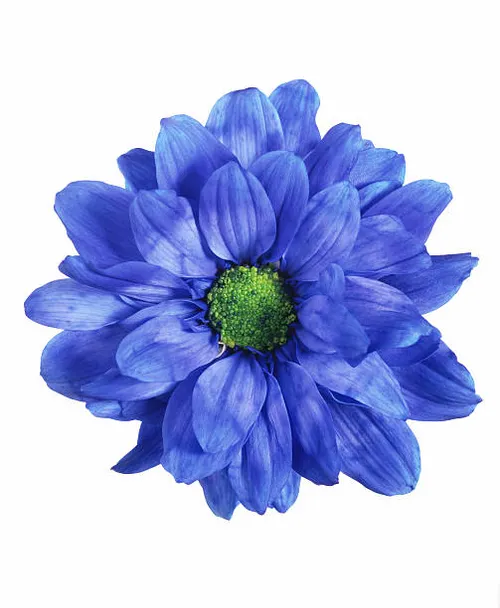 মোঃ সুলতান মাহমুদ